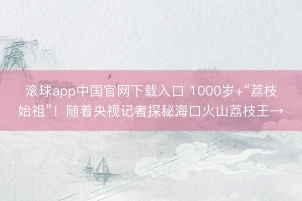 滚球app中国官网下载入口 1000岁+“荔枝始祖”！随着央视记者探秘海口火山荔枝王→