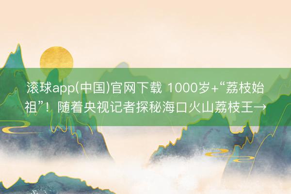滚球app(中国)官网下载 1000岁+“荔枝始祖”！随着央视记者探秘海口火山荔枝王→