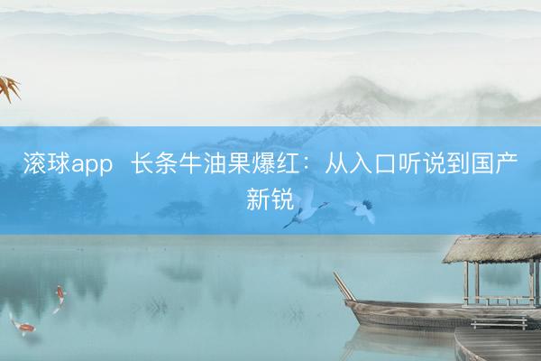 滚球app  长条牛油果爆红：从入口听说到国产新锐