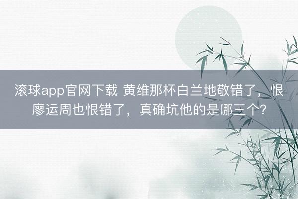 滚球app官网下载 黄维那杯白兰地敬错了,恨廖运周也恨错了,真确坑他的是哪三个?