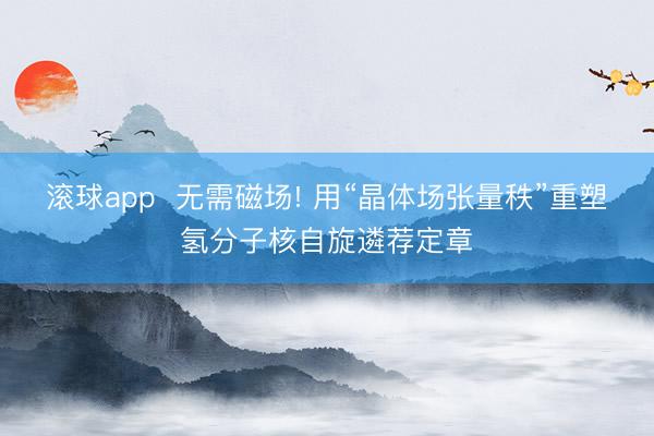 滚球app  无需磁场! 用“晶体场张量秩”重塑氢分子核自旋遴荐定章