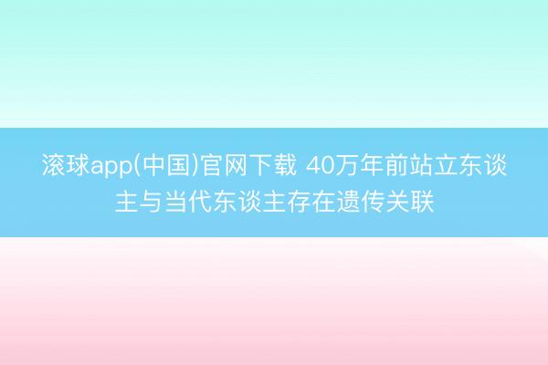 滚球app(中国)官网下载 40万年前站立东谈主与当代东谈主存在遗传关联
