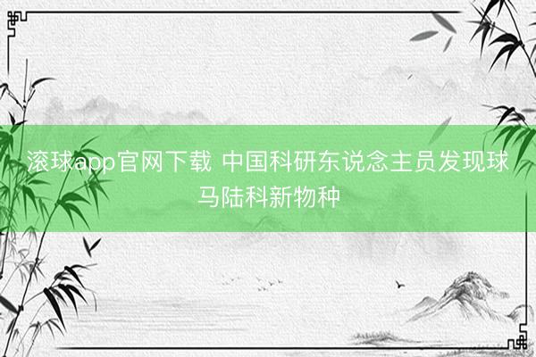滚球app官网下载 中国科研东说念主员发现球马陆科新物种