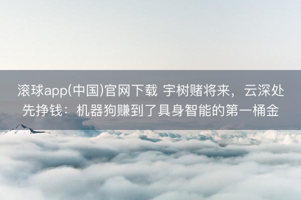 滚球app(中国)官网下载 宇树赌将来,云深处先挣钱:机器狗赚到了具身智能的第一桶金