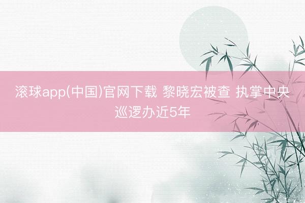 滚球app(中国)官网下载 黎晓宏被查 执掌中央巡逻办近5年