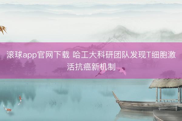 滚球app官网下载 哈工大科研团队发现T细胞激活抗癌新机制