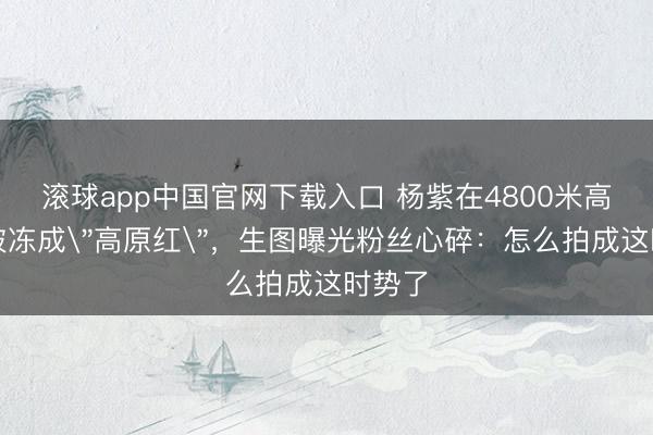 滚球app中国官网下载入口 杨紫在4800米高原脸被冻成