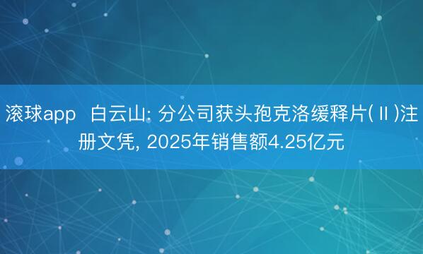 滚球app  白云山: 分公司获头孢克洛缓释片(Ⅱ)注册文凭， 2025年销售额4.25亿元