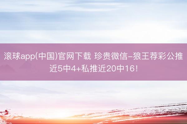 滚球app(中国)官网下载 珍贵微信-狼王荐彩公推近5中4+私推近20中16！
