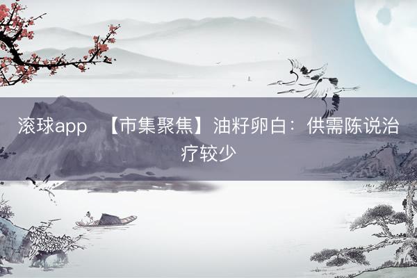 滚球app  【市集聚焦】油籽卵白：供需陈说治疗较少