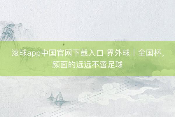 滚球app中国官网下载入口 界外球丨全国杯,颜面的远远不啻足球