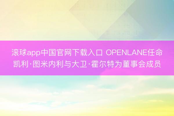 滚球app中国官网下载入口 OPENLANE任命凯利·图米内利与大卫·霍尔特为董事会成员