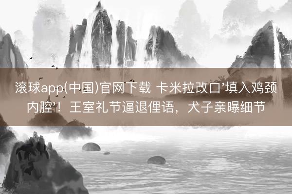 滚球app(中国)官网下载 卡米拉改口'填入鸡颈内腔'!王室礼节逼退俚语,犬子亲曝细节