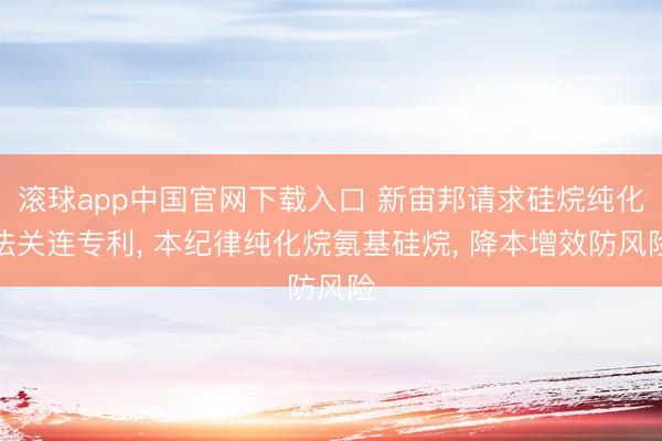 滚球app中国官网下载入口 新宙邦请求硅烷纯化法关连专利, 本纪律纯化烷氨基硅烷, 降本增效防风险