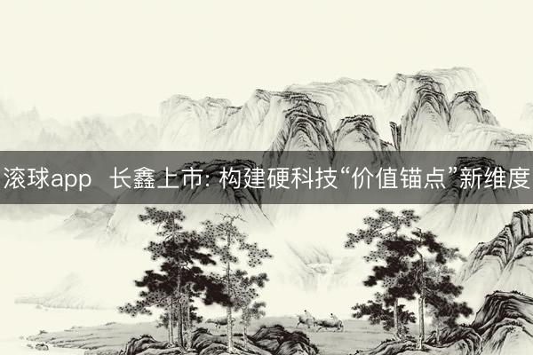 滚球app  长鑫上市: 构建硬科技“价值锚点”新维度