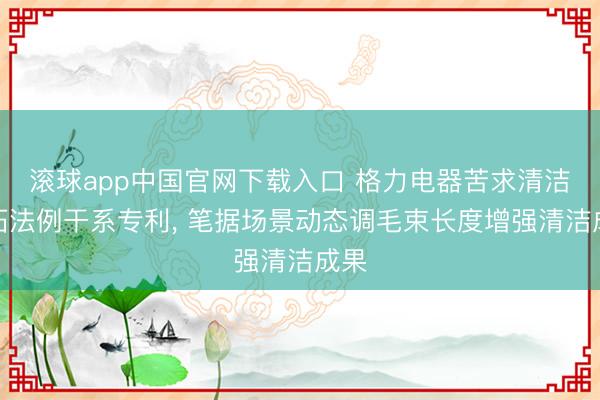 滚球app中国官网下载入口 格力电器苦求清洁开拓法例干系专利， 笔据场景动态调毛束长度增强清洁成果