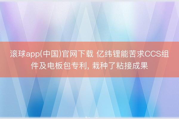 滚球app(中国)官网下载 亿纬锂能苦求CCS组件及电板包专利， 栽种了粘接成果