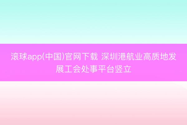 滚球app(中国)官网下载 深圳港航业高质地发展工会处事平台竖立
