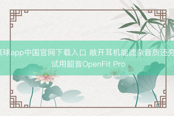 滚球app中国官网下载入口 敞开耳机能滤杂音质还夯? 试用韶音OpenFit Pro