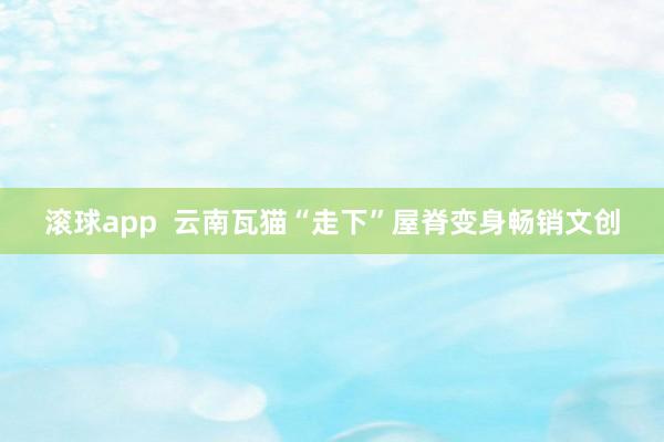 滚球app 云南瓦猫“走下”屋脊变身畅销文创