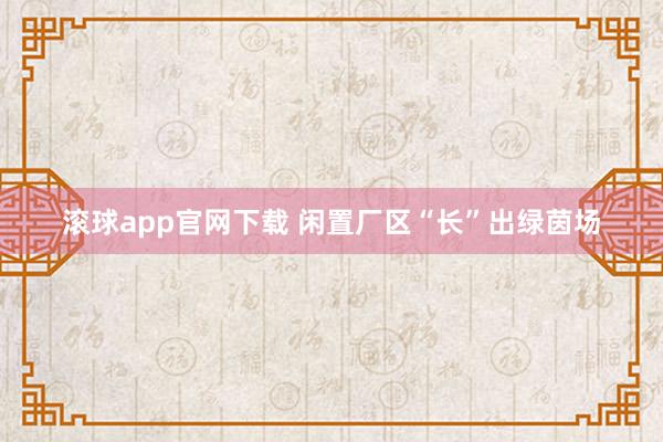 滚球app官网下载 闲置厂区“长”出绿茵场