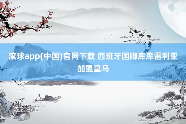 滚球app(中国)官网下载 西班牙国脚库库雷利亚加盟皇马