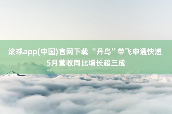 滚球app(中国)官网下载 “丹鸟”带飞申通快递 5月营收同比增长超三成
