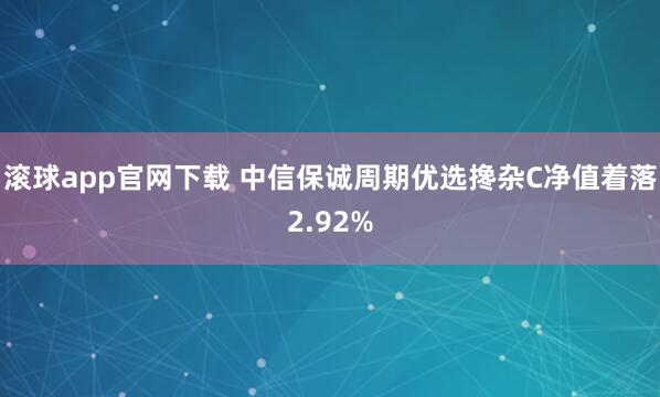 滚球app官网下载 中信保诚周期优选搀杂C净值着落2.92%