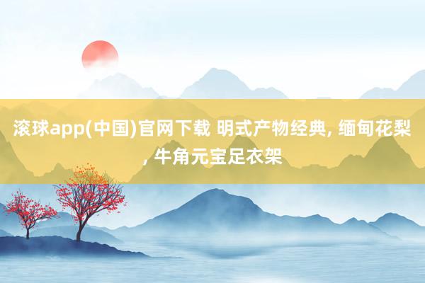 滚球app(中国)官网下载 明式产物经典， 缅甸花梨， 牛角元宝足衣架