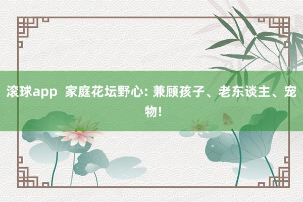 滚球app  家庭花坛野心: 兼顾孩子、老东谈主、宠 物!